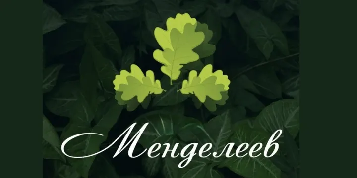 МЕНДЕЛЕЕВ, гостиница, сауна, баня МЕНДЕЛЕЕВ, гостиница, сауна, баня